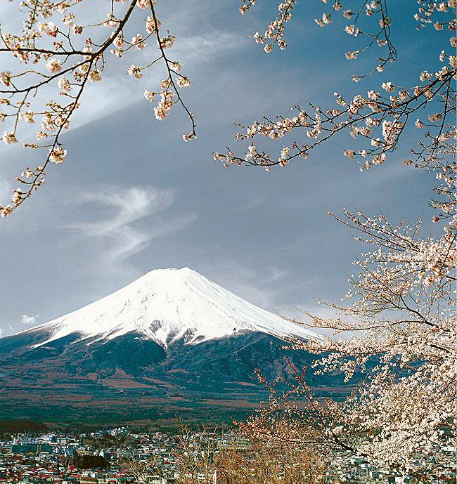 File:Jaapan_Fuji_õitsevad kirsipuud.jpg